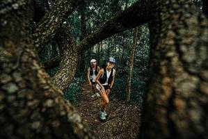 BIB: 
                            <button type="button" onclick="openModal(25668258)" class="btn btn-primary btn-sm float-right btn-popup" data-toggle="modal" data-target=".modal-high-quality">
                        <i class="fas fa-shopping-cart"></i> Add to Cart
                    </button>
                                            <button type="button" onclick="isThisMe(25668258, true)" class="btn btn-success btn-sm float-right btn-popup btn-isme hidden" data-toggle="tooltip" data-placement="bottom" title="นี่คือรูปของคุณใช่ไหม คลิกที่นี่เพื่อเอาเข้าอัลบั้ม">
                        <i class="fas fa-plus"></i> Add to album
                    </button>
                    <button type="button" onclick="isThisMe(25668258, false)" class="btn btn-warning btn-sm float-right btn-popup btn-isnotme hidden">
                        <i class="fas fa-ban"></i> Remove from album
                    </button>